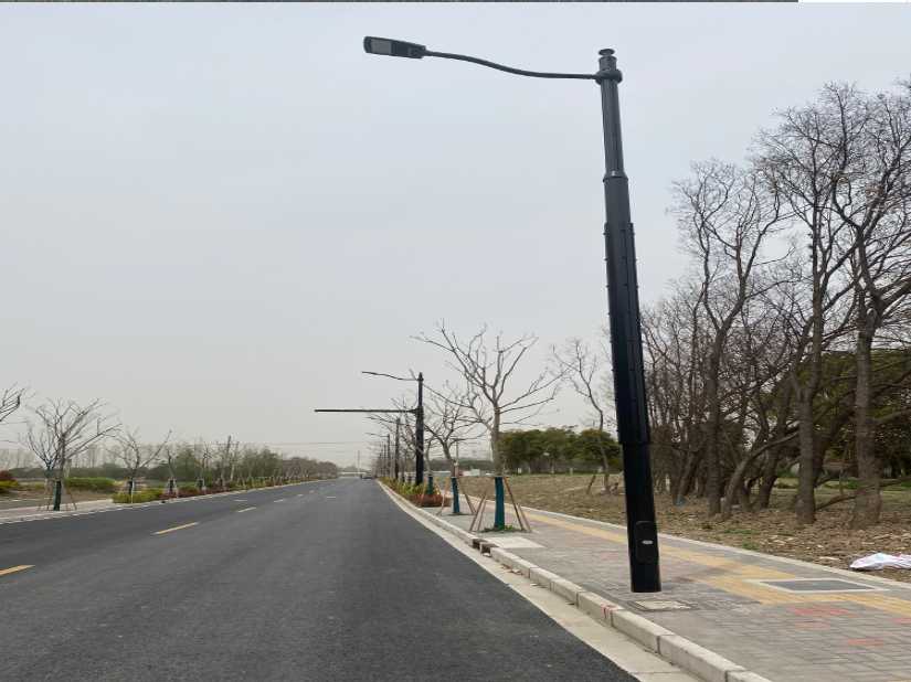 平果市上海综合杆 太阳能路灯工程